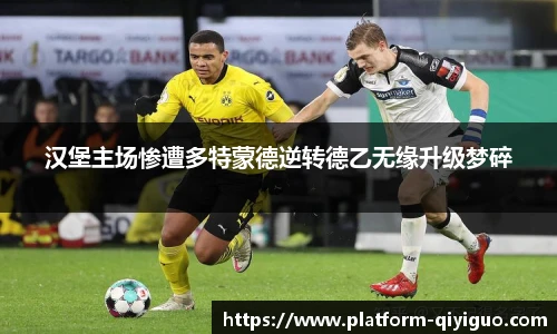汉堡主场惨遭多特蒙德逆转德乙无缘升级梦碎