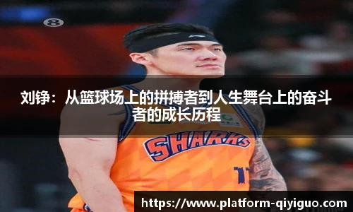 奇异果体育官网入口