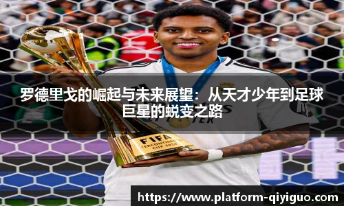 奇异果体育平台